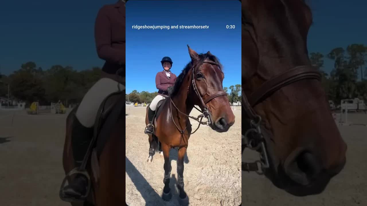 An interview with Taylor Blackman of @goldcrownjumpers one of our Ridge regulars! 🐎