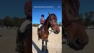 An interview with Taylor Blackman of @goldcrownjumpers one of our Ridge regulars! 🐎