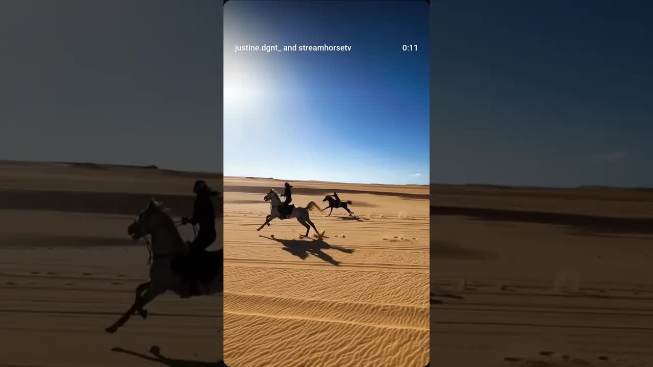 Some places. Some souls. Some horses. They just feel right. Grateful for Fayoum.