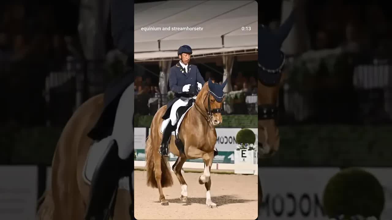 So much effort goes into Freestyle music 🐎🎶 and this passage tour was quite on the beat 🤩