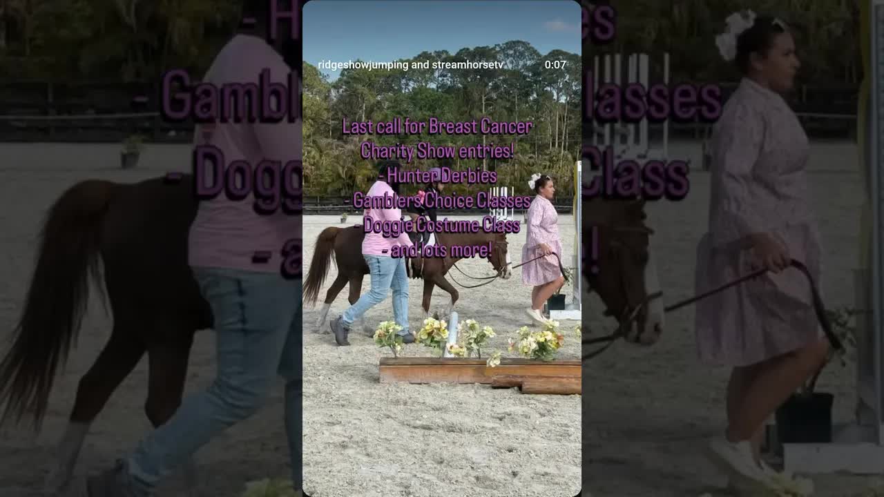 Last call for the final day of our Breast Cancer Research Benefit Show! 😍💗