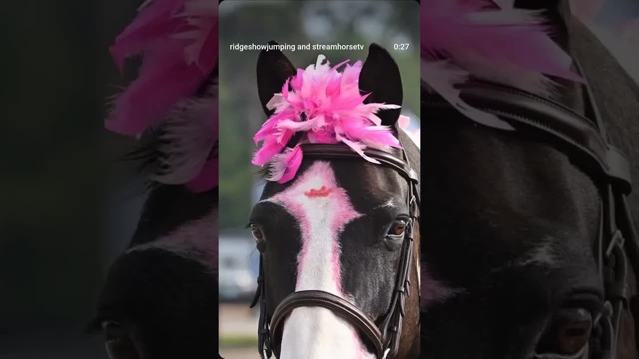 We know we’ve used this song 100 times but WE CANT HELP OURSELVES 🤪💗🎀🐎🤣😂