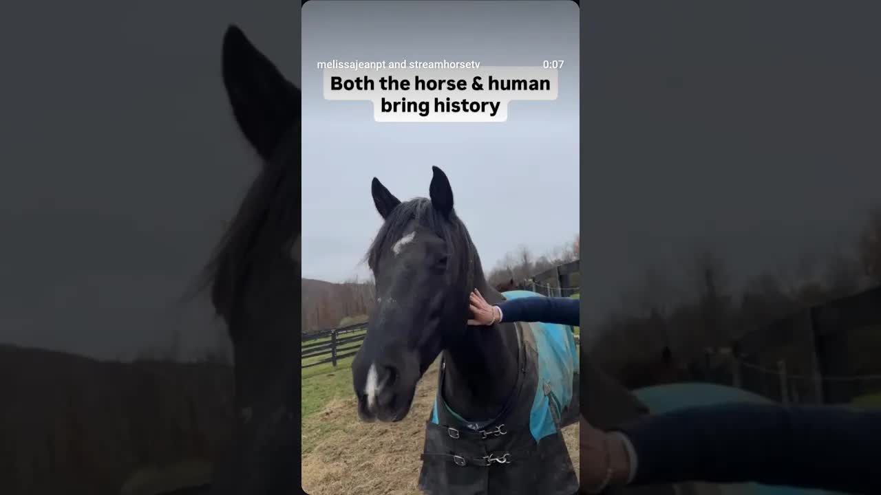 We talk about “it takes two to tango.” But horses are not negotiating from the prefrontal cortex.