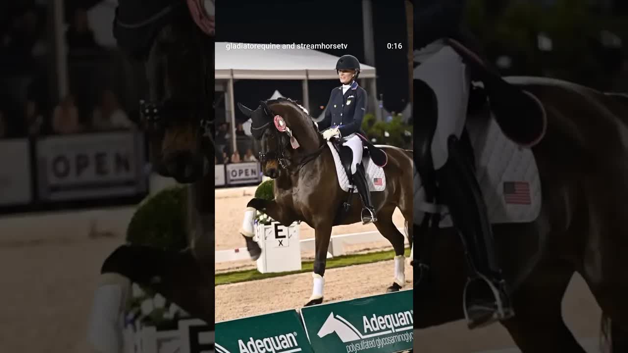 Riding isn’t just a sport; its a lifestyle, a passion, and a journey all rolled into one! 🐎