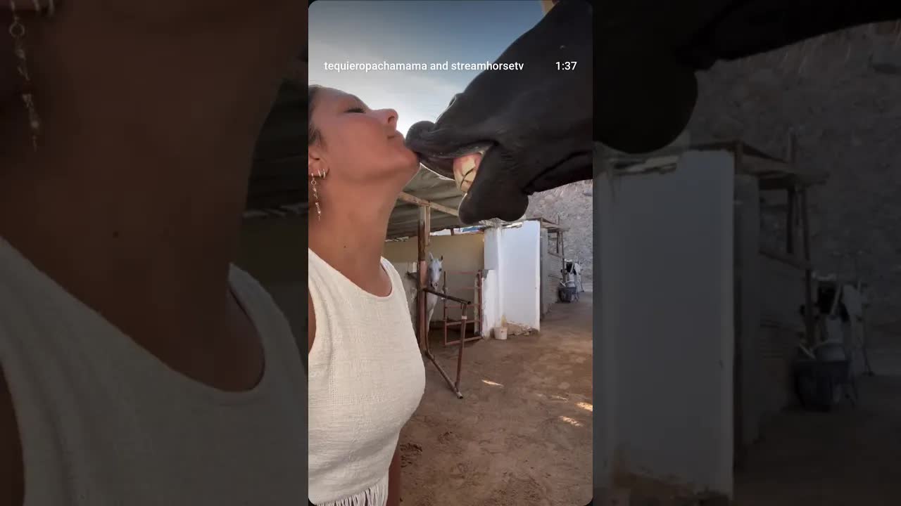 The Horse Power 🔥