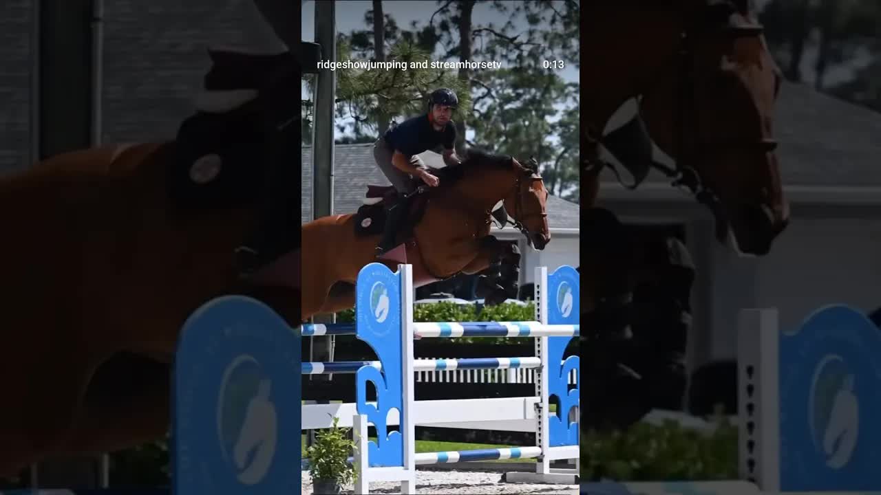 Unload your trailers, tighten your girths, gather your reins: tomorrow begins our Week 8️⃣