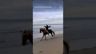 Just pure freedom on horseback 🐎✨️👌