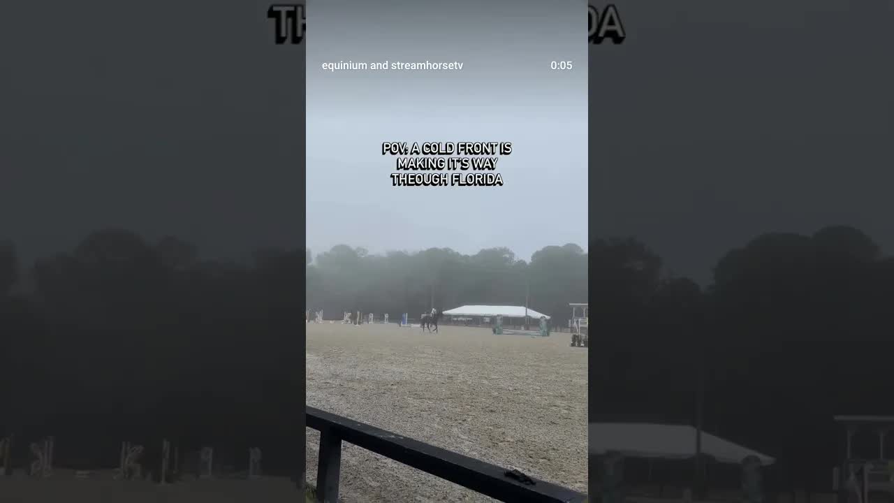 Why is Florida like this 😂🥲 Misty morning at The Ridge this weekend as temps go from 90 to 40 🥵🥶🌡️🐎