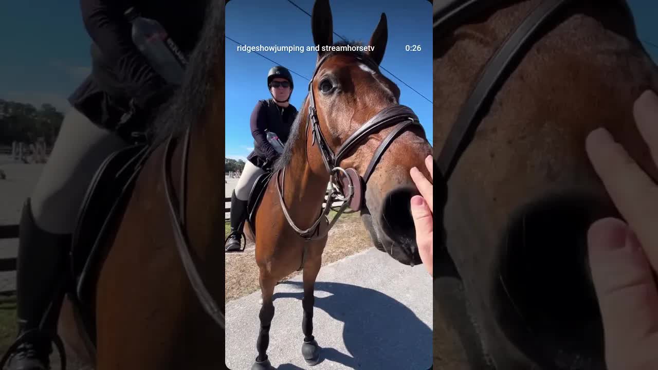 Thanks Monique and Diddy Kong 🐎🍌👑 for showing with us today in the .80Ms!