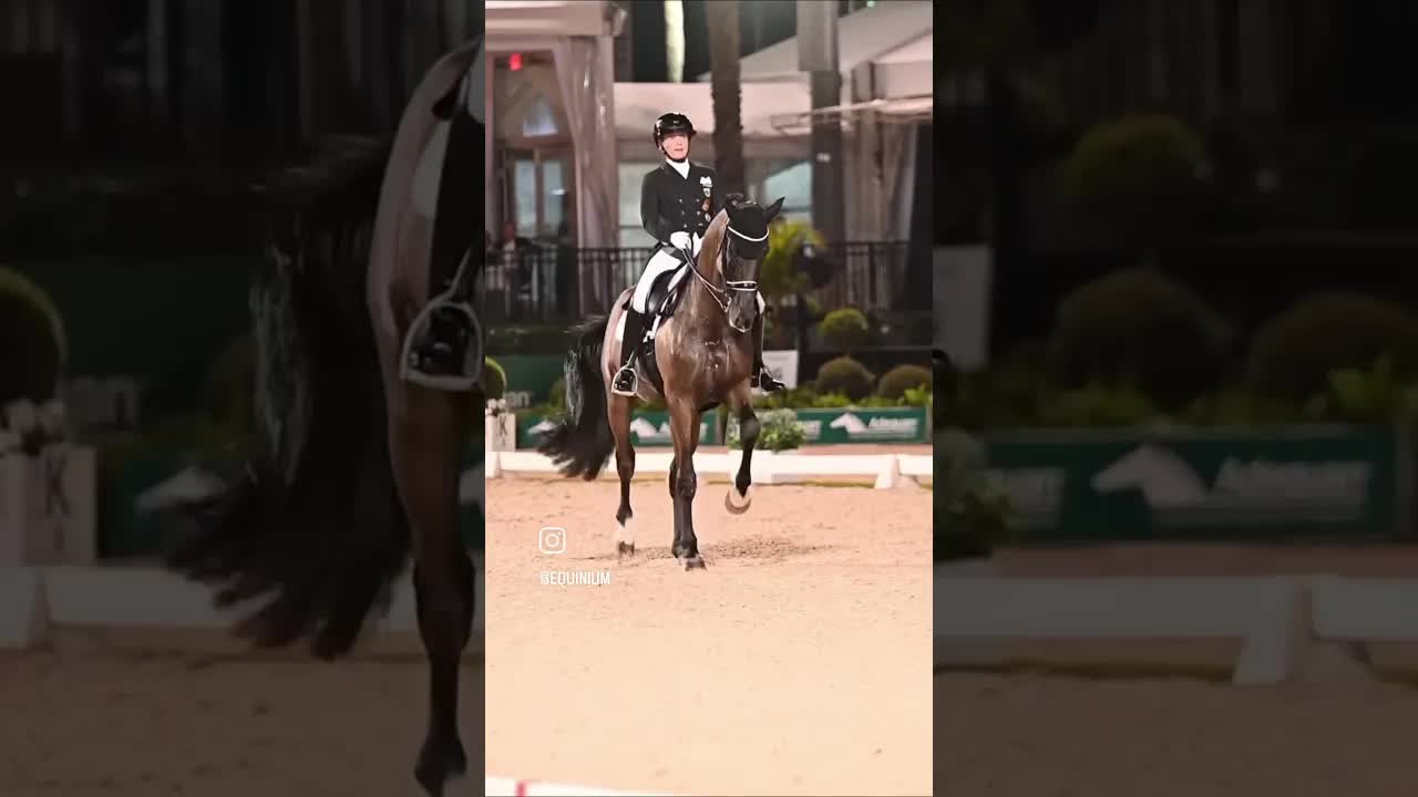 Queen of the transition 👑🐎 Isabell Werth and Special Blend 3 ☯️ in their winning Freestyle 🇩🇪 🇮🇹 🇺🇸