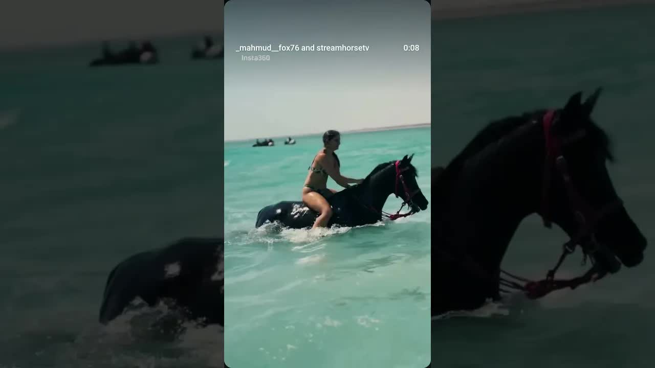 Swimming with a horse isn't just a moment of beauty. It's a bond of trust. 🐴🌊