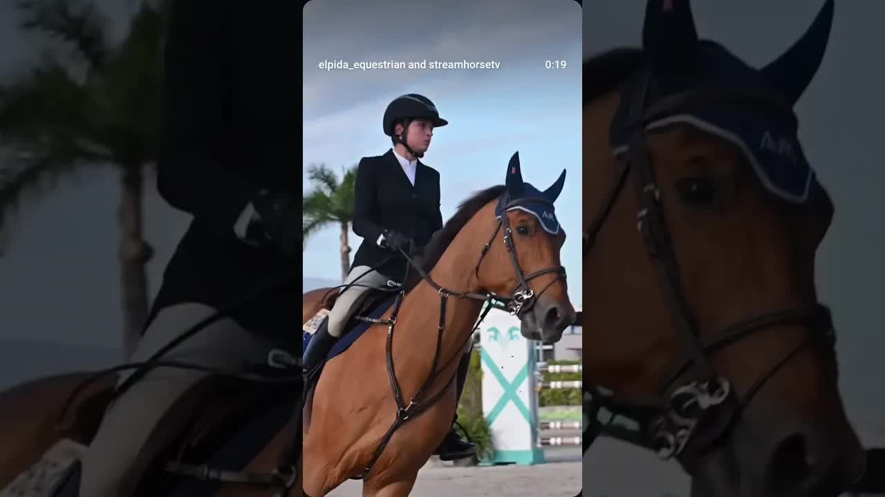 WEF 8️⃣ Back at it 💪🐎🤩 just one measly time-fault in today’s Schooling warm up 🕐