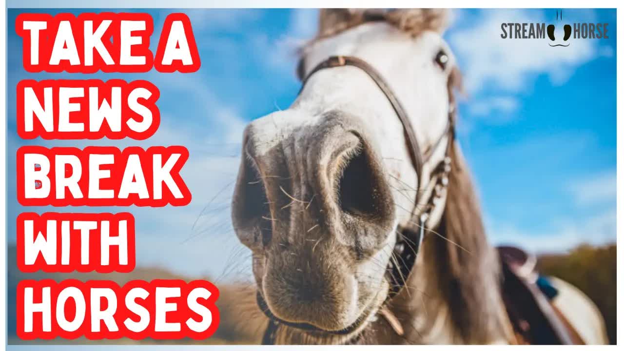 Leave the Headlines Behind 🐎✨ 10 Minutes of Horses in Breathtaking Nature