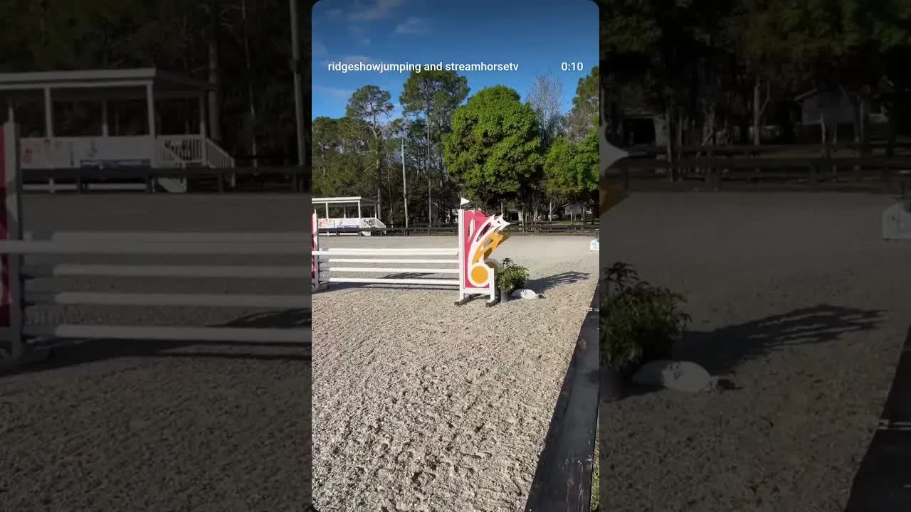 Beautiful beginning to a Friday at The Ridge! 🐎