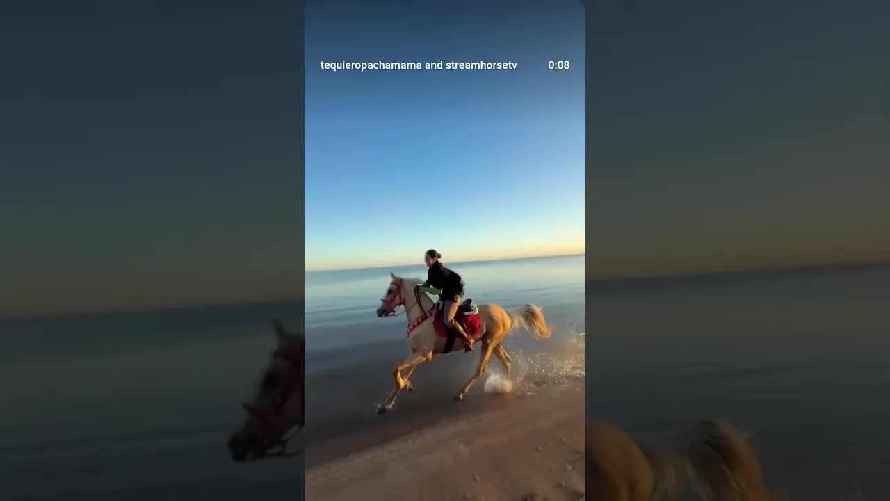 Galloping with the first light of the morning sun 🌅🐴🧡