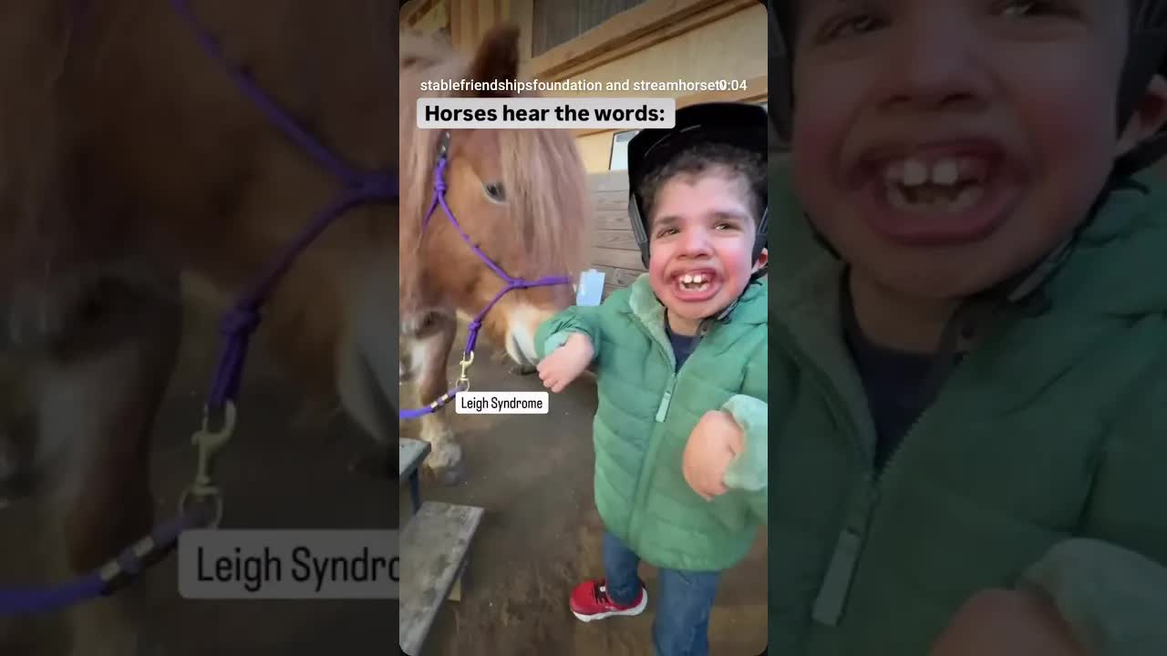 Today is Rare Disease Day 💜 The world hears diagnoses. Our horses see who you are.