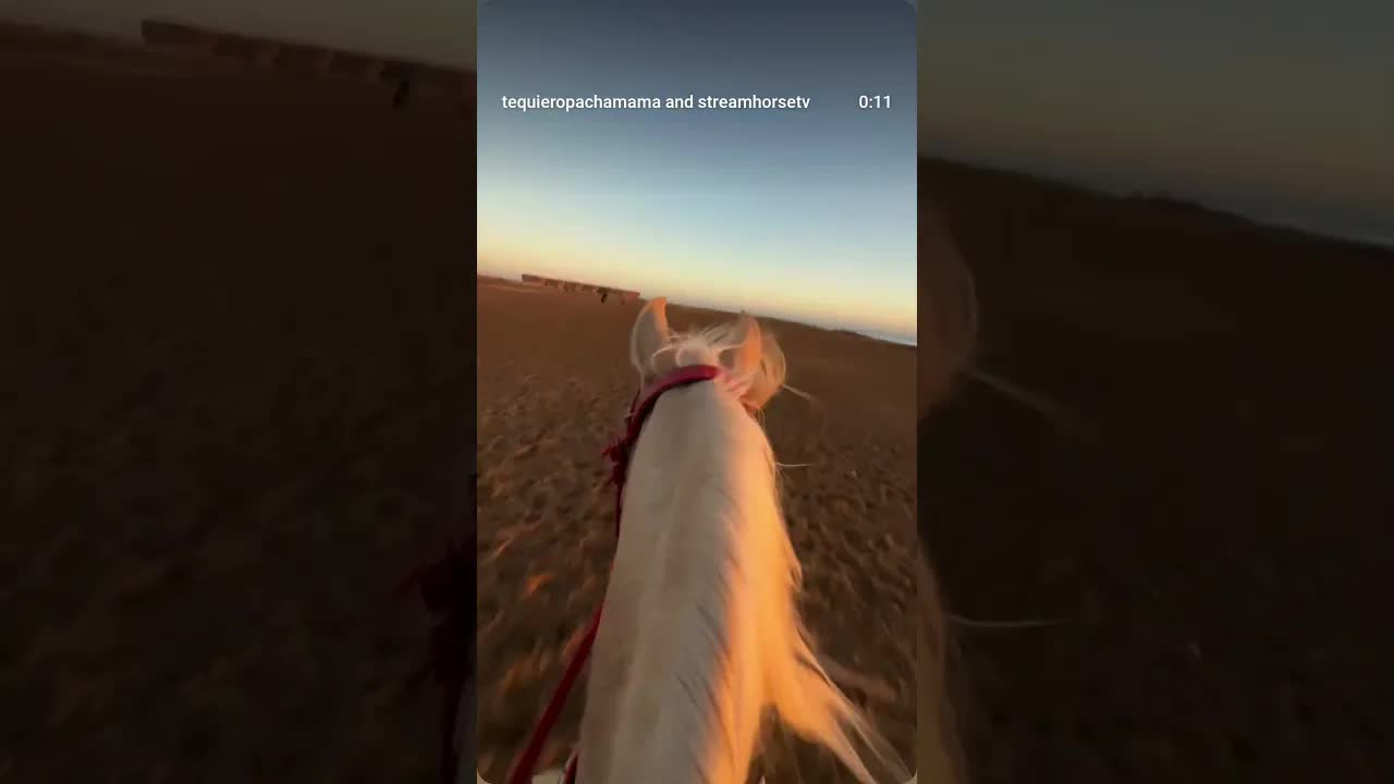 Those precious moments with you 🐴💛🌅