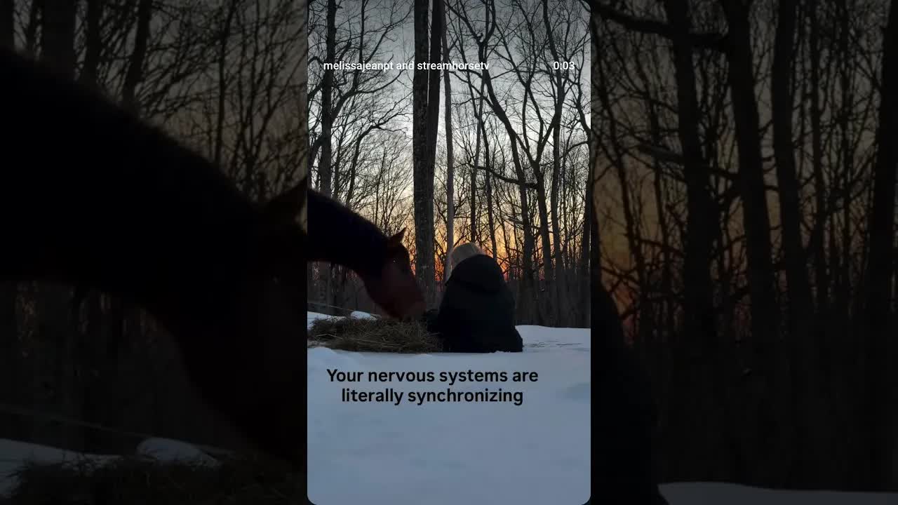 ❣️Your horse has been doing more for you than you realized.