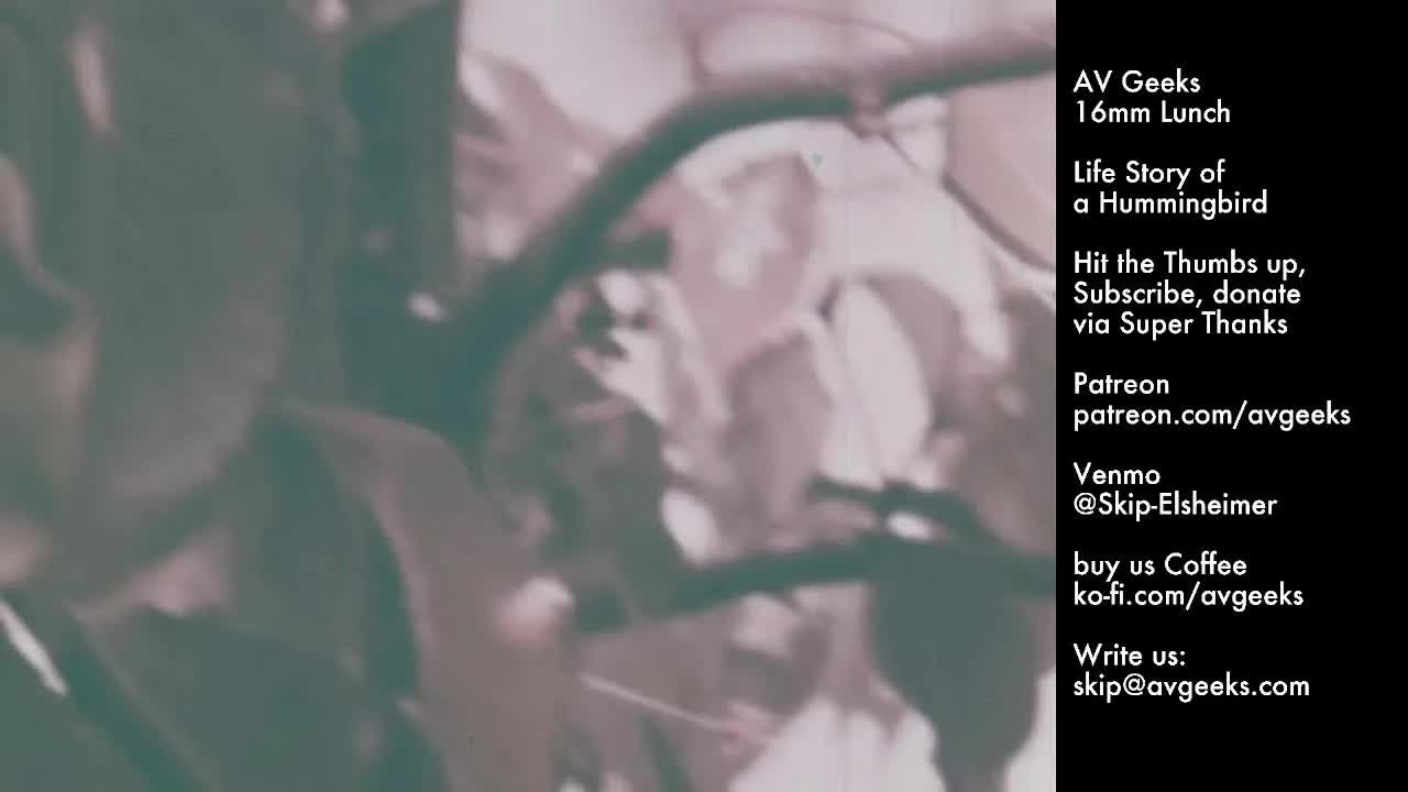 A/V Geeks 16mm Lunch 3-2-2026