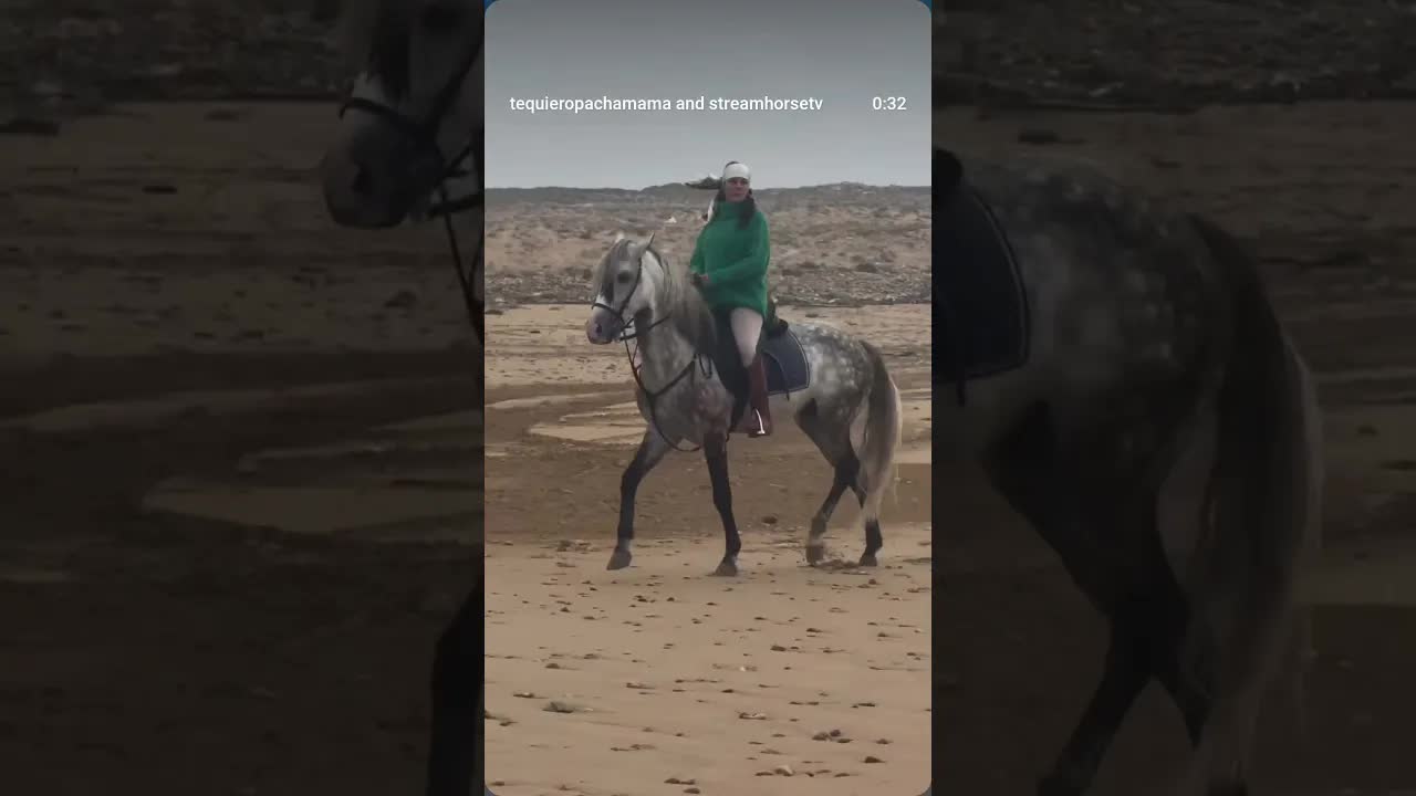 My Horseback Journey it’s made of love, respect, passion, and courage. ♥️