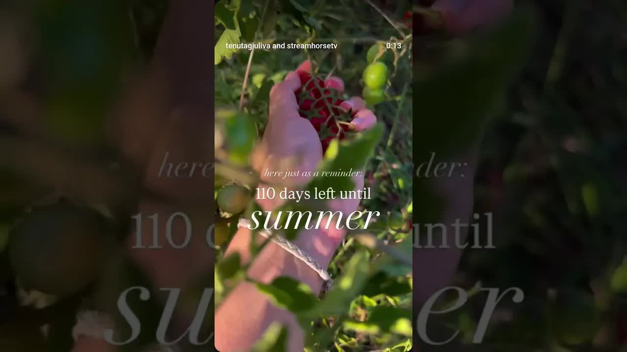 🌞 110 days until summer 👙 hurry up and grab the last week available 📍 Montefiascone, Italy 🇮🇹😎