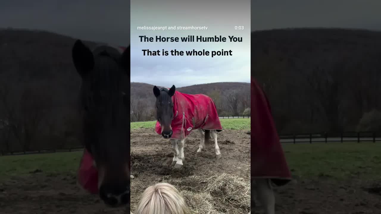 I want to tell you about the day I talked myself out of listening to my own body 👇