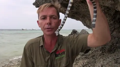 Diving underwater to identify whether a mysterious snake is a krait or a sea snake