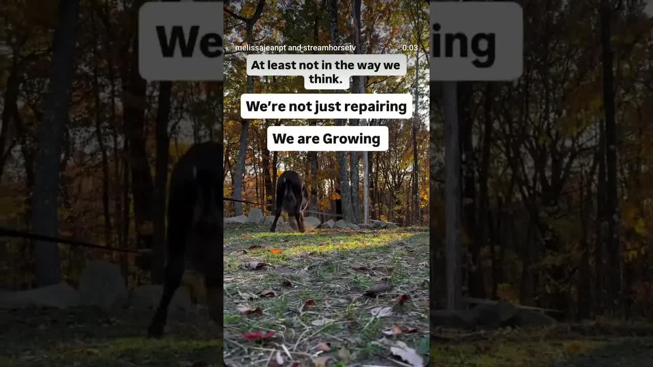 I’ve been turning an idea over in my mind lately: Is it really healing, or is it just growing?