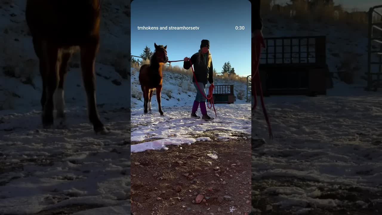 I actually love working with a horse with a little sass.