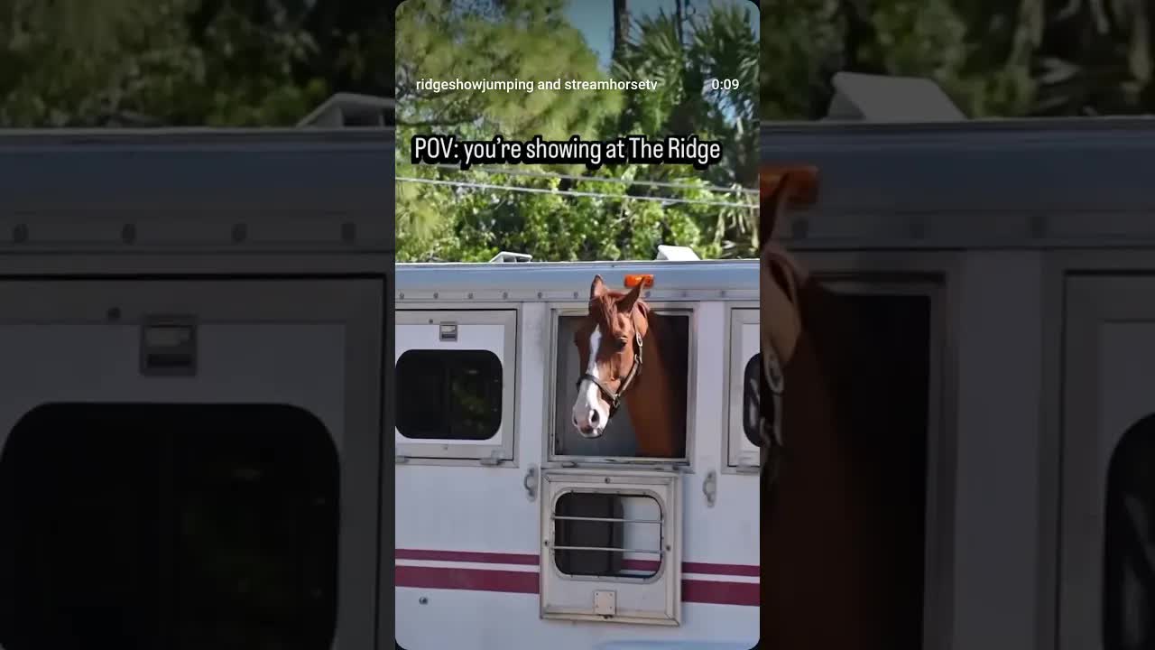 Our daily POV 🐎 make it yours!