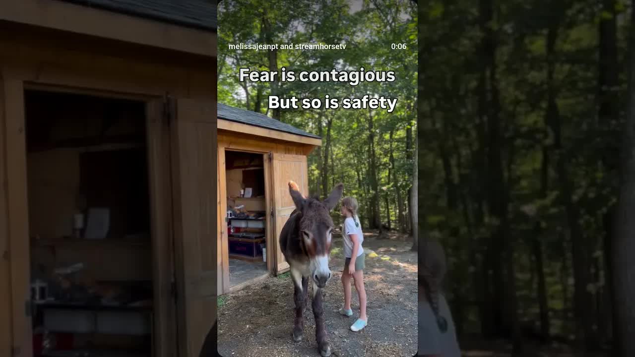 Fear travels through nervous systems. But safety stops the transmission.