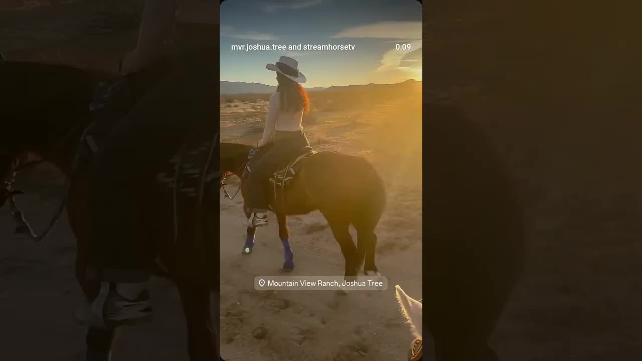 🌅🤠 Sunset Trail Ride! 🤠🌅Join the Adventure! Book your ride TODAY!