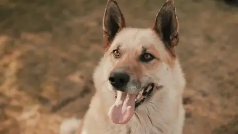 Common idioms and sayings that make absolutely zero sense when you think