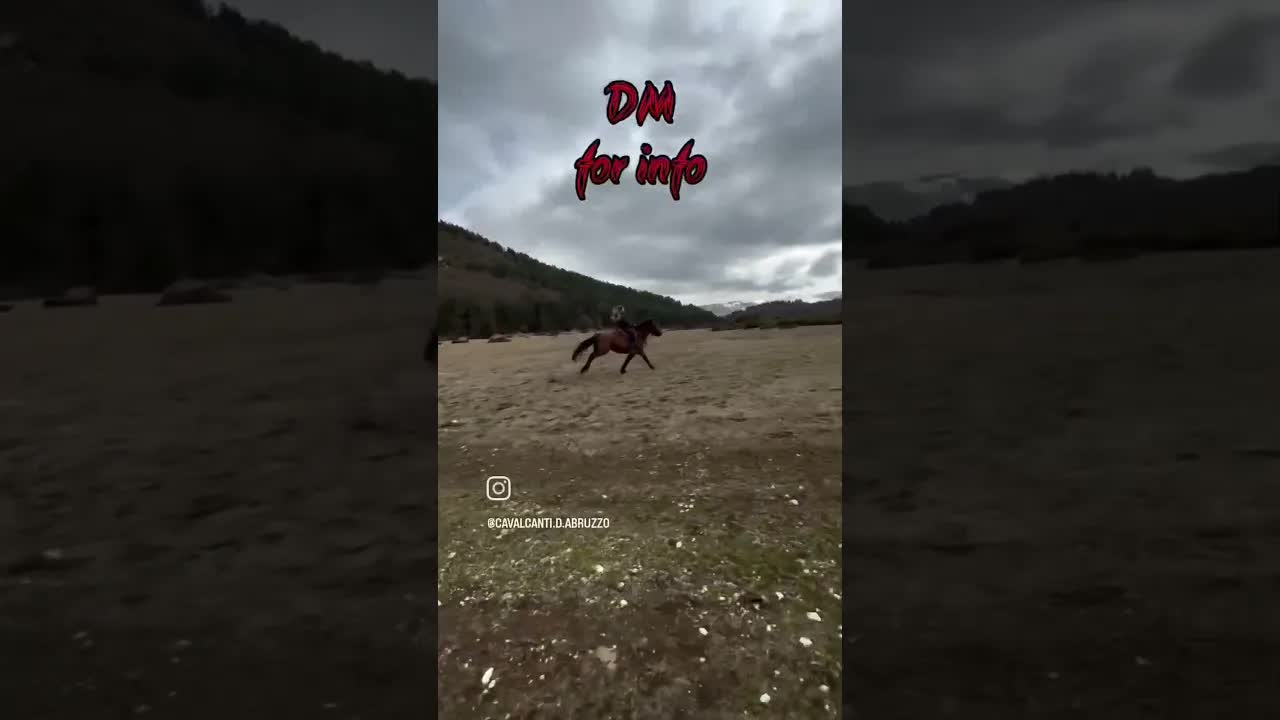 Ready for something unforgettable? The most thrilling adventure of your life is about to begin!