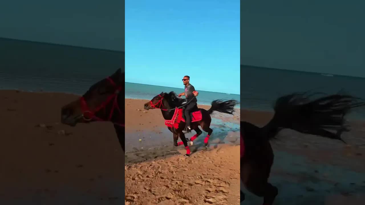 Loving a horse isn't just about riding… It's a spirit that runs alongside you.