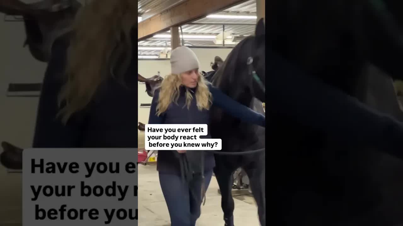 Sometimes you walk into a place and something in your body shifts immediately.