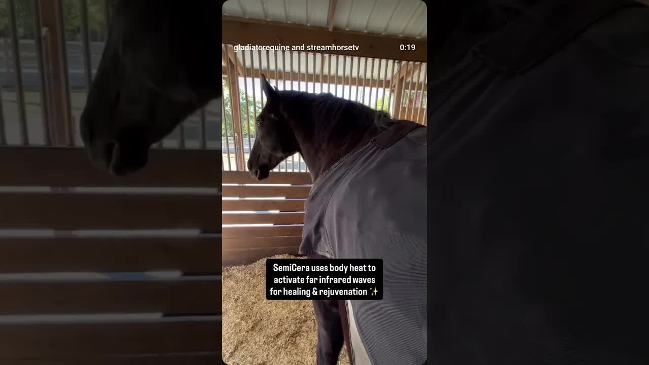 This might be a series, because we ran out of time to list things! 😂🐴✨