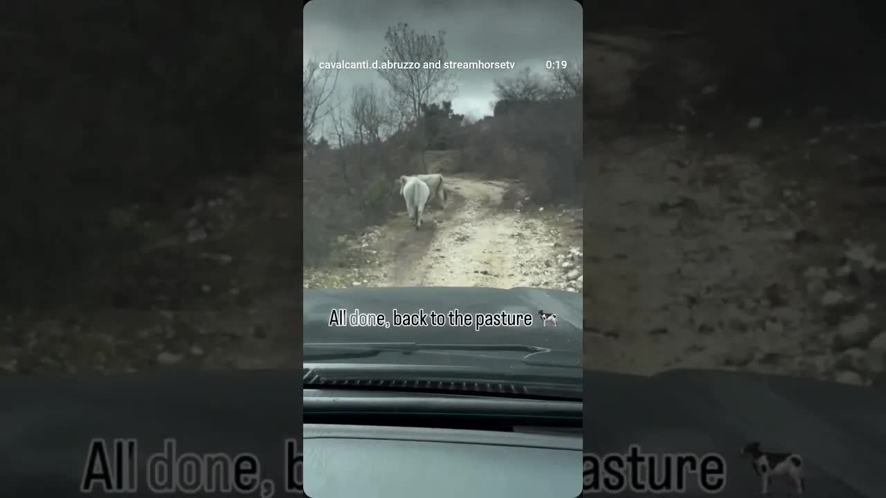 From the first light of morning to the last task of the day. This is life on the farm.