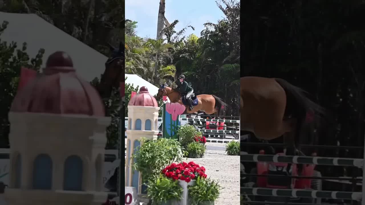 “Anyone who has never made a mistake has never tried anything new.” - Albert Einstein