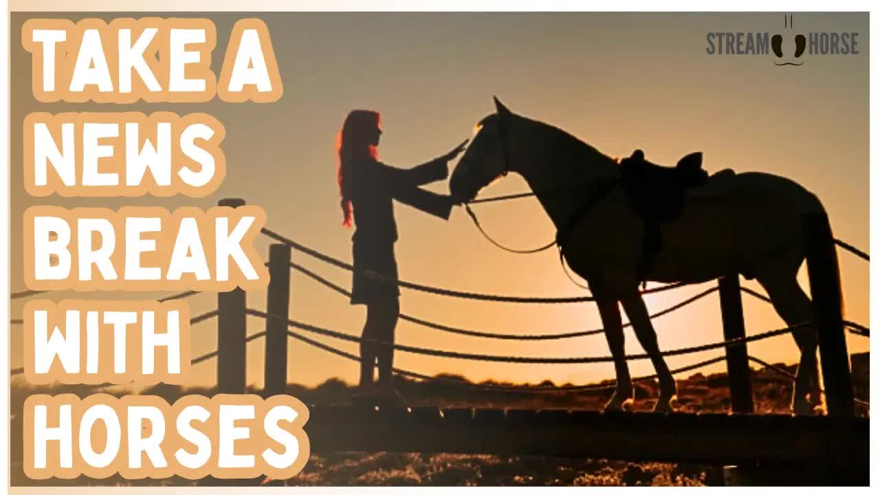 Breathe. Watch Horses. Reset. 🐎🌄 (10 Minutes)