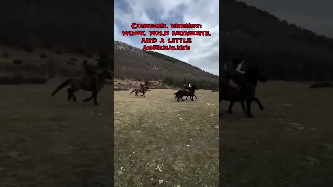 Fun is a big part of the work! Come with us! Don’t just hear about it.