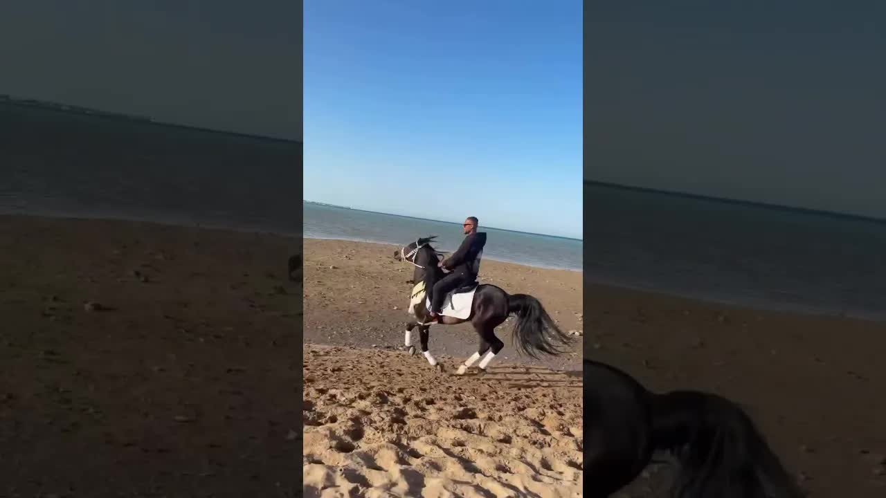 Today, the Pasha honored me, God willing. 🐴🖤