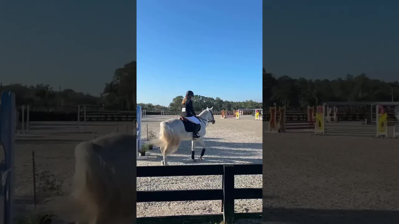 Peaceful morning in the .70Ms at The Ridge 🐎🦄🤩