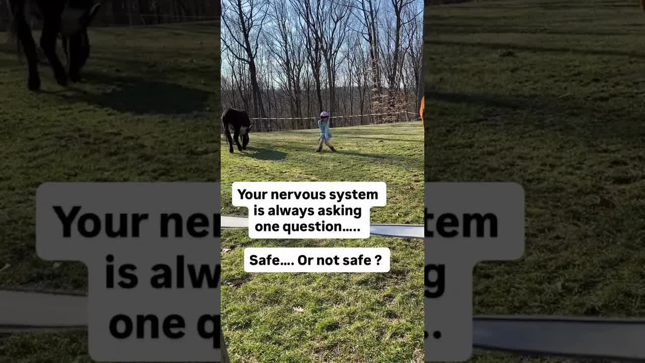 That term is neuroception. ❤️🐴👇