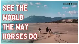 See the World the Way Horses Do 🌎🐎