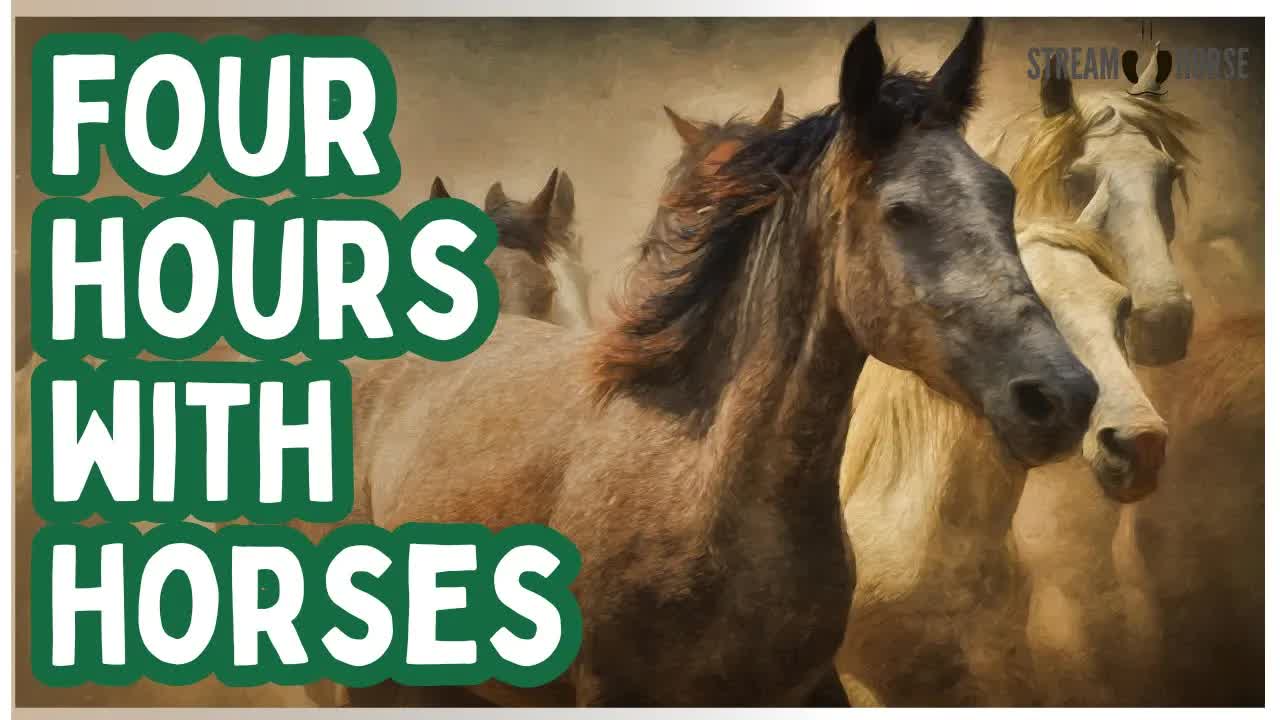 4 Hours of Horses 🐎🌏✨ Celebrate the Year of the Horse (Chinese Zodiac)