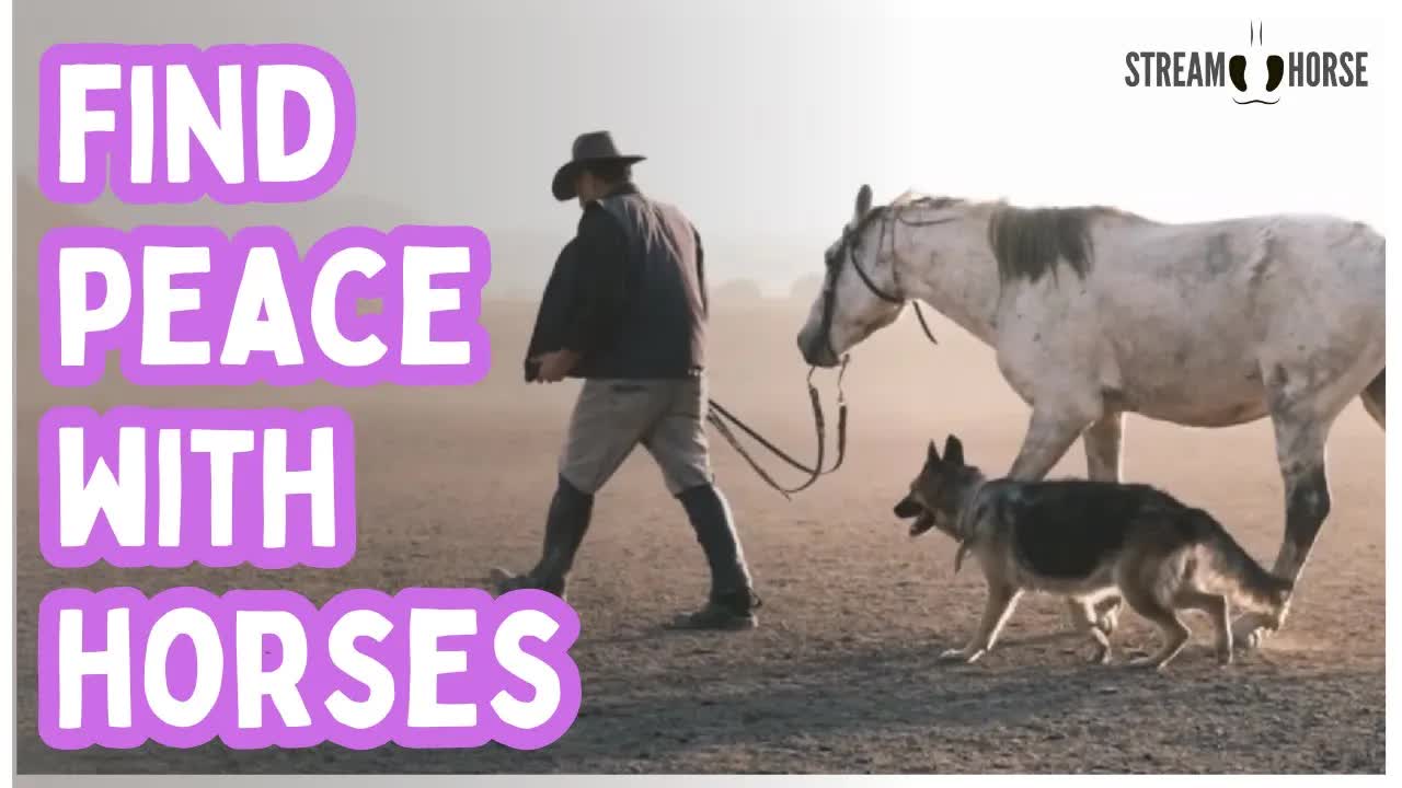 Feeling Overwhelmed? Watch This: Horses & Nature for Instant Peace & Calm 🐎🌿🌍