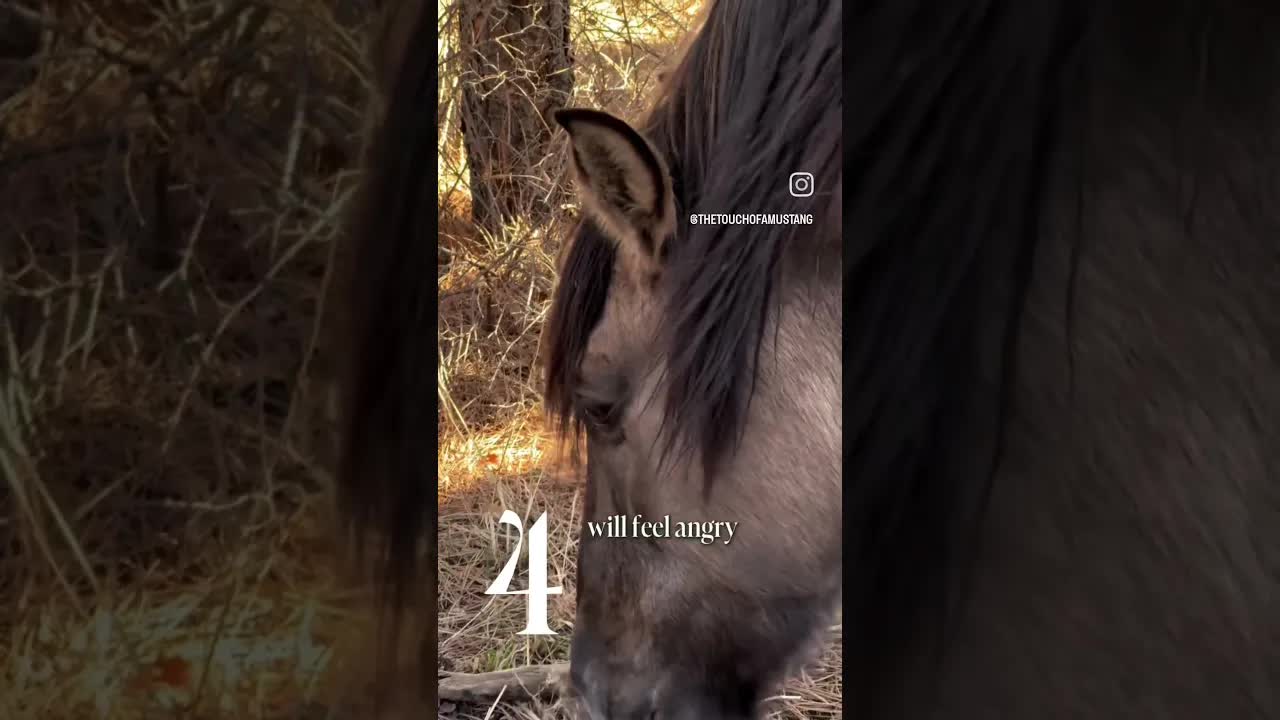 5 Things I Wish I'd Tried Sooner As A Recovering People Pleaser ❤️🐴