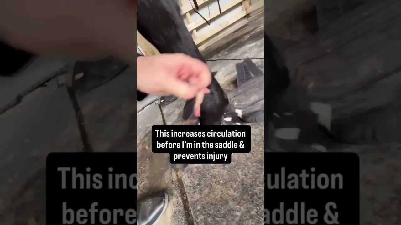 Get ready with me, Gladiator Equine Dressage Edition! 🐴