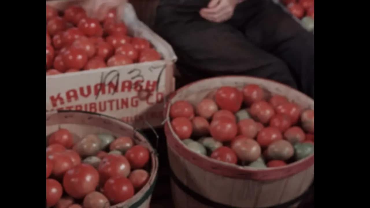 Truck Farm Can 1 (silent, raw footage, 1950s)